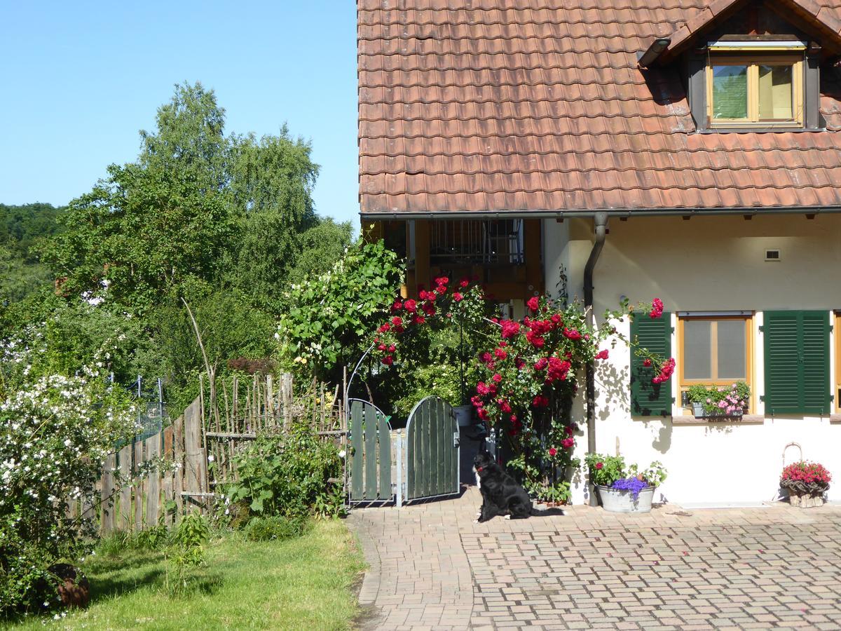 Ferienwohnung Waldblick Zweibruecken Exterior photo